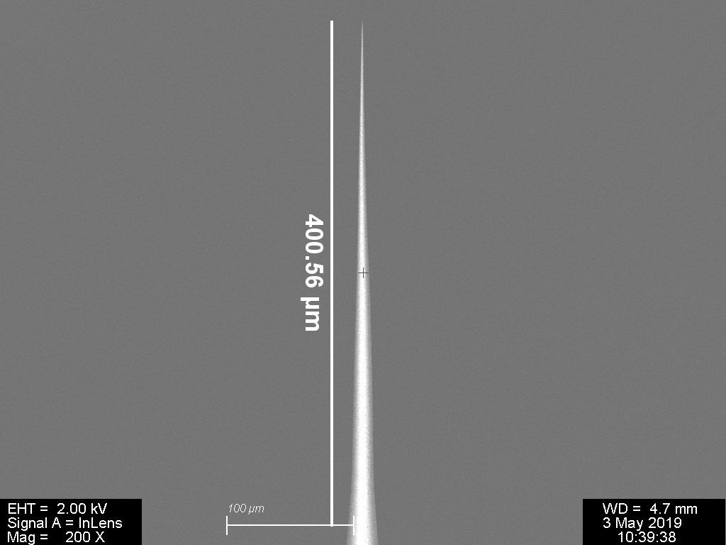 Tungsten probe for TEM sample lift out